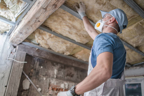 Types of Insulation We Offer in Alamo, TN