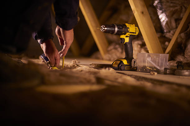 Best Cellulose Insulation in Alamo, TN