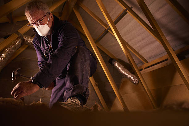 Trusted Alamo, TN Insulation Contractor Experts
